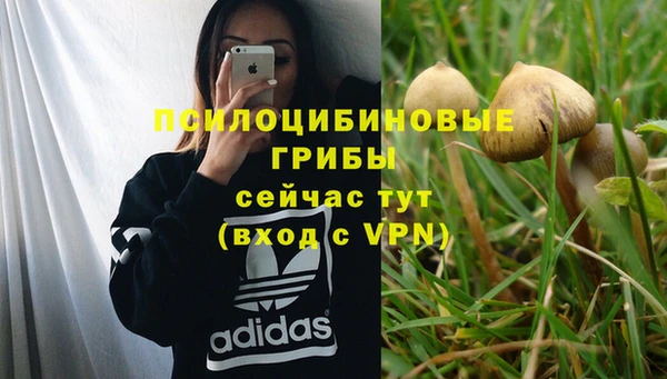 хмурый Заволжье