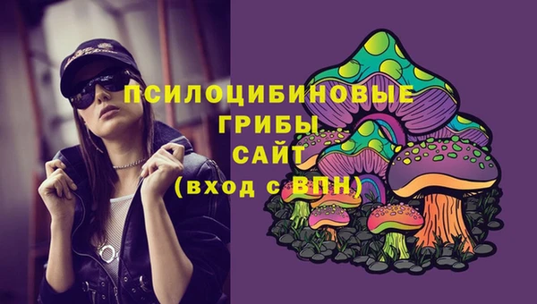 герыч Заволжск