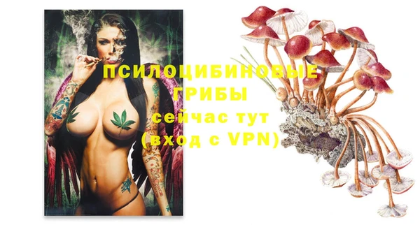 таблы Заводоуковск